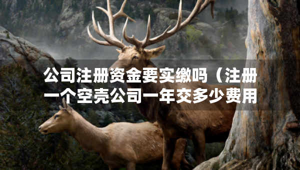 公司注册资金要实缴吗（注册一个空壳公司一年交多少费用）