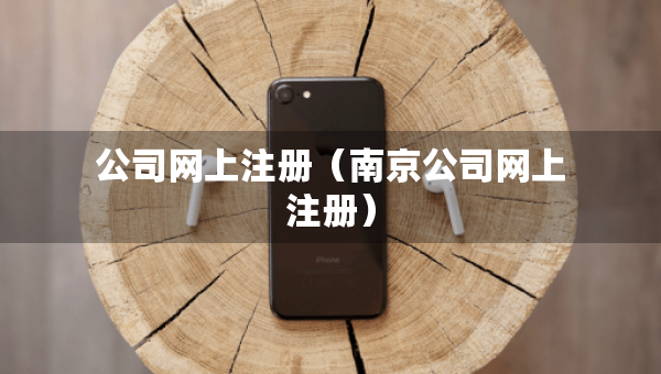 公司网上注册（南京公司网上注册）