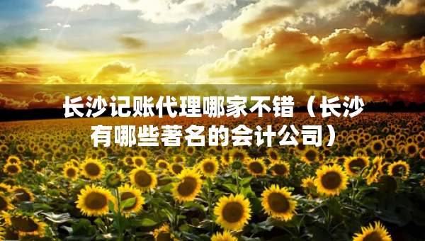 长沙记账代理哪家不错（长沙有哪些著名的会计公司）