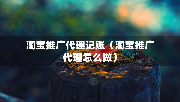 淘宝推广代理记账（淘宝推广代理怎么做）