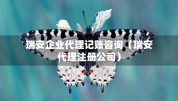 瑞安企业代理记账咨询（瑞安代理注册公司）