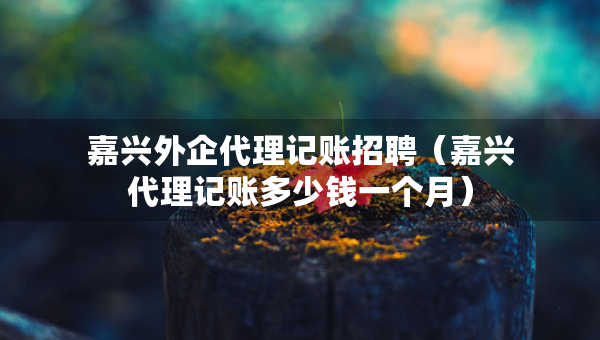 嘉兴外企代理记账招聘（嘉兴代理记账多少钱一个月）