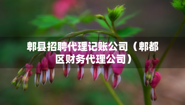 郫县招聘代理记账公司（郫都区财务代理公司）