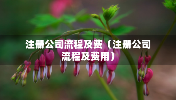 注册公司流程及费（注册公司流程及费用）