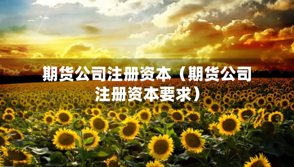 期货公司注册资本（期货公司注册资本要求）