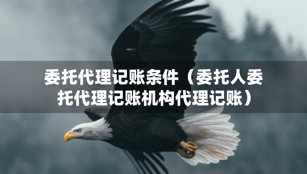 委托代理记账条件（委托人委托代理记账机构代理记账）
