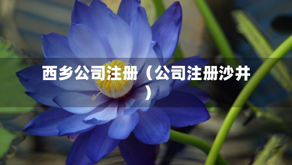 西乡公司注册（公司注册沙井）