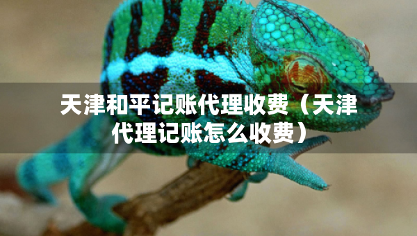 天津和平记账代理收费（天津代理记账怎么收费）