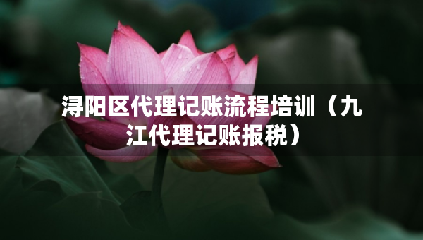 浔阳区代理记账流程培训（九江代理记账报税）