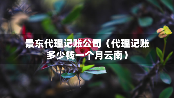 景东代理记账公司（代理记账多少钱一个月云南）