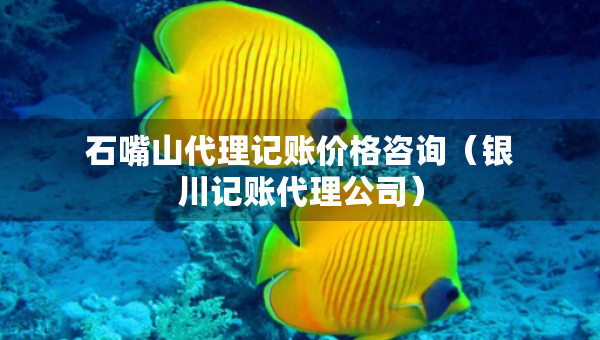 石嘴山代理记账价格咨询（银川记账代理公司）
