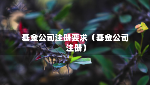 基金公司注册要求（基金公司 注册）