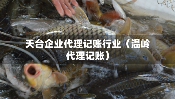 天台企业代理记账行业（温岭代理记账）