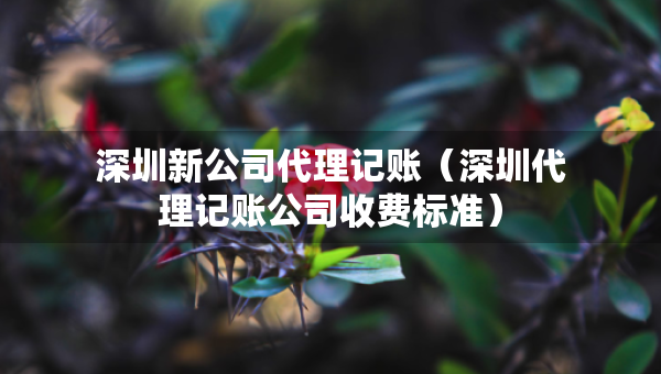 深圳新公司代理记账（深圳代理记账公司收费标准）