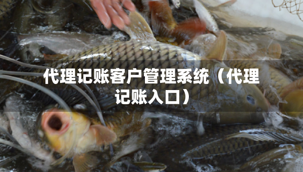 代理记账客户管理系统（代理记账入口）