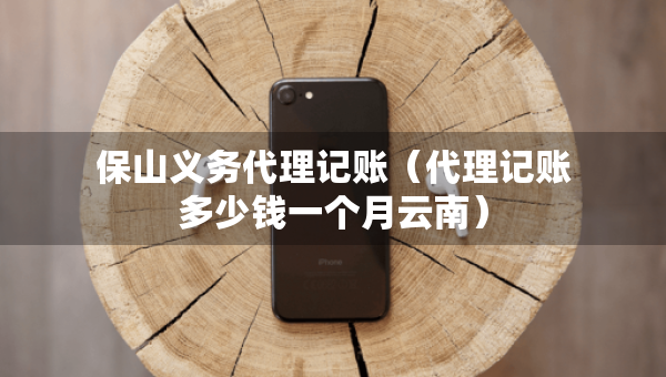 保山义务代理记账（代理记账多少钱一个月云南）