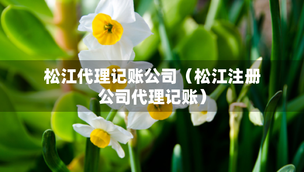 松江代理记账公司（松江注册公司代理记账）