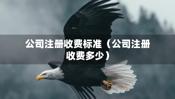 公司注册收费标准（公司注册收费多少）
