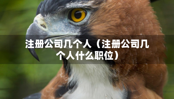 注册公司几个人（注册公司几个人什么职位）
