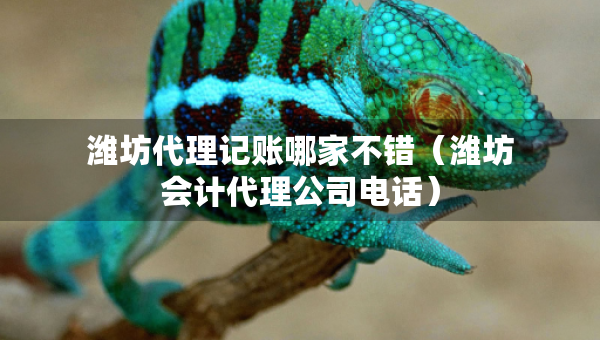 潍坊代理记账哪家不错（潍坊会计代理公司电话）