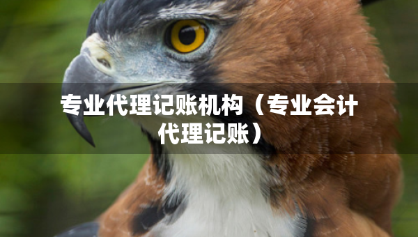 专业代理记账机构（专业会计代理记账）