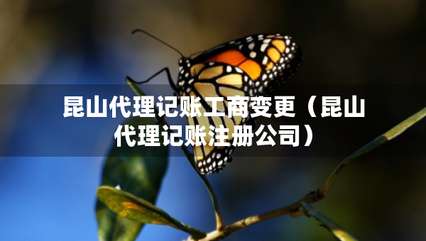 昆山代理记账工商变更（昆山代理记账注册公司）