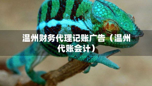 温州财务代理记账广告（温州代账会计）