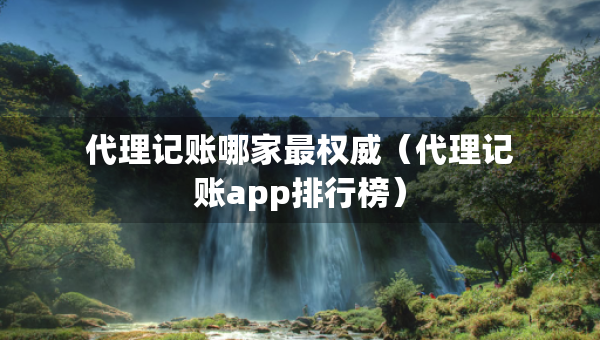 代理记账哪家最权威（代理记账app排行榜）