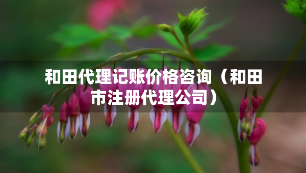 和田代理记账价格咨询（和田市注册代理公司）