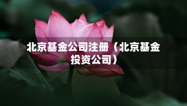 北京基金公司注册（北京基金投资公司）