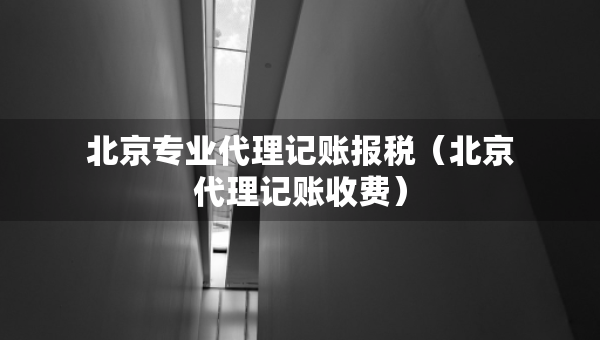 北京专业代理记账报税（北京代理记账收费）