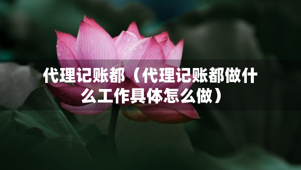 代理记账都（代理记账都做什么工作具体怎么做）