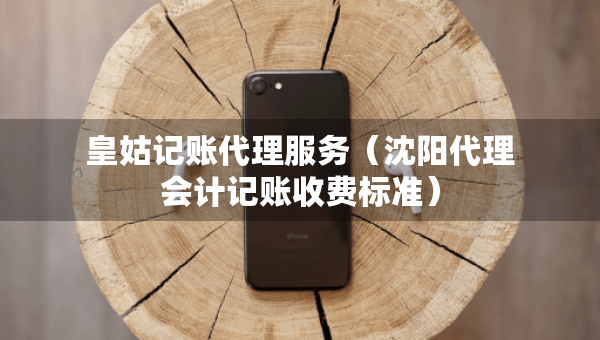 皇姑记账代理服务（沈阳代理会计记账收费标准）