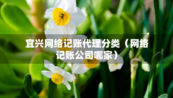 宜兴网络记账代理分类（网络记账公司哪家）
