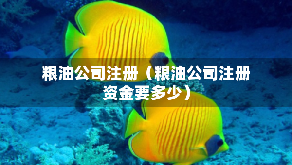 粮油公司注册（粮油公司注册资金要多少）