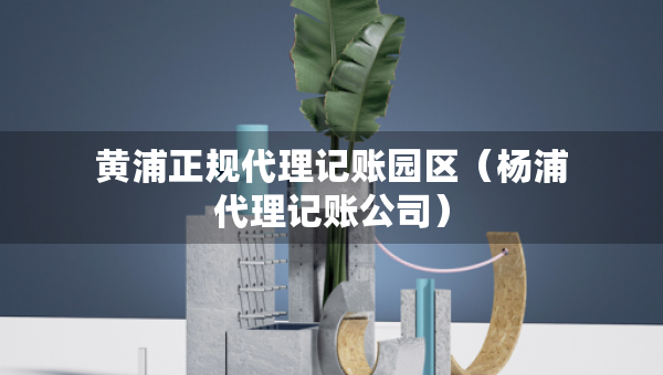 黄浦正规代理记账园区（杨浦代理记账公司）