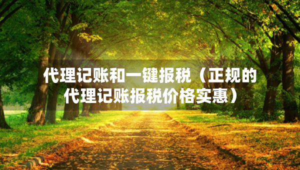 代理记账和一键报税（正规的代理记账报税价格实惠）