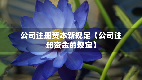 公司注册资本新规定（公司注册资金的规定）