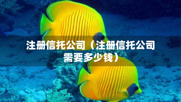 注册信托公司（注册信托公司需要多少钱）