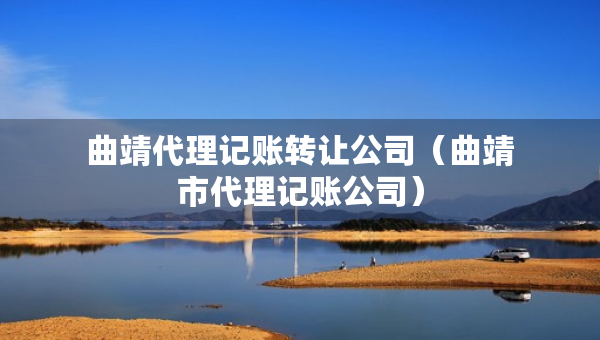 曲靖代理记账转让公司（曲靖市代理记账公司）