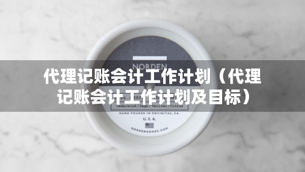 代理记账会计工作计划（代理记账会计工作计划及目标）