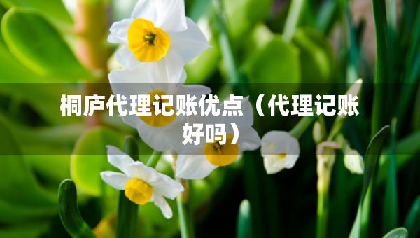 桐庐代理记账优点（代理记账好吗）