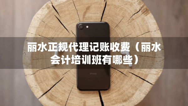 丽水正规代理记账收费（丽水会计培训班有哪些）