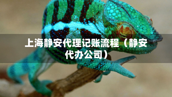上海静安代理记账流程（静安代办公司）