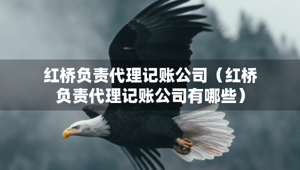 红桥负责代理记账公司（红桥负责代理记账公司有哪些）