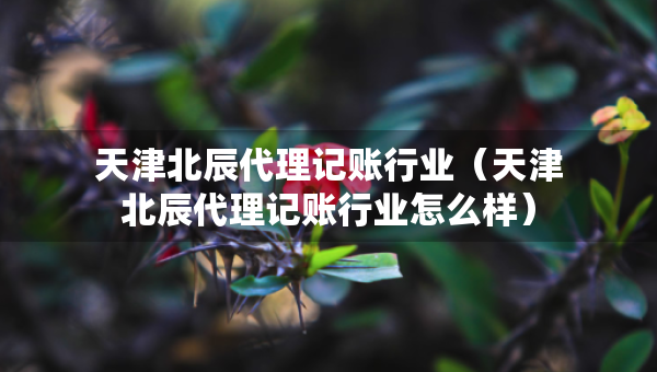 天津北辰代理记账行业（天津北辰代理记账行业怎么样）