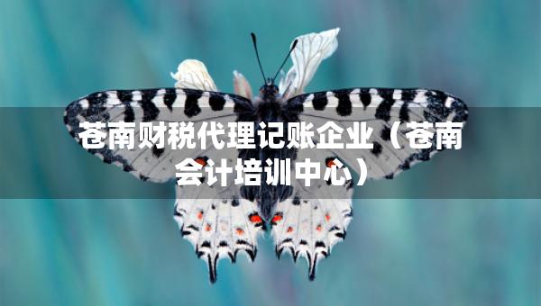 苍南财税代理记账企业（苍南会计培训中心）