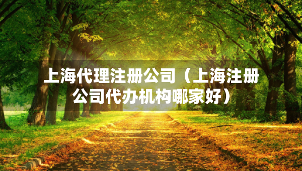 上海代理注册公司（上海注册公司代办机构哪家好）