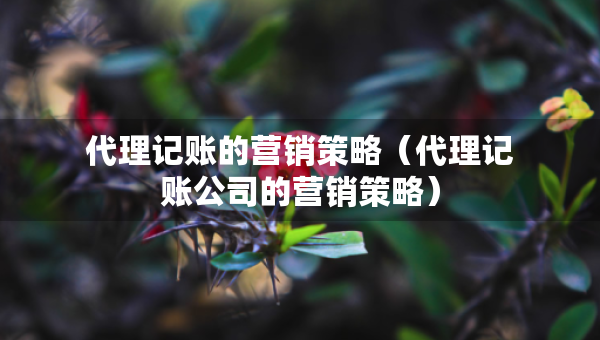 代理记账的营销策略（代理记账公司的营销策略）
