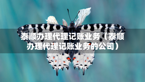 泰顺办理代理记账业务（泰顺办理代理记账业务的公司）